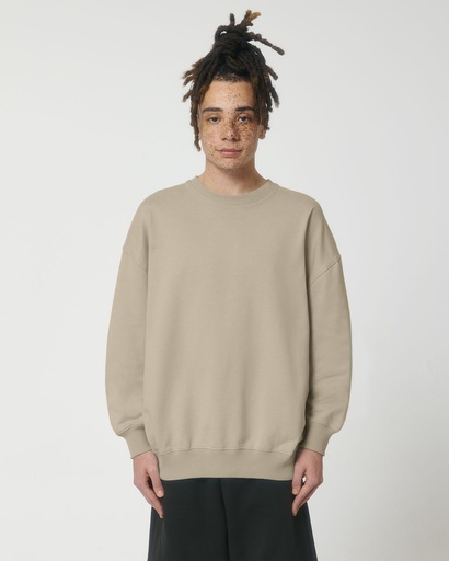 STSU798 Ledger Dry